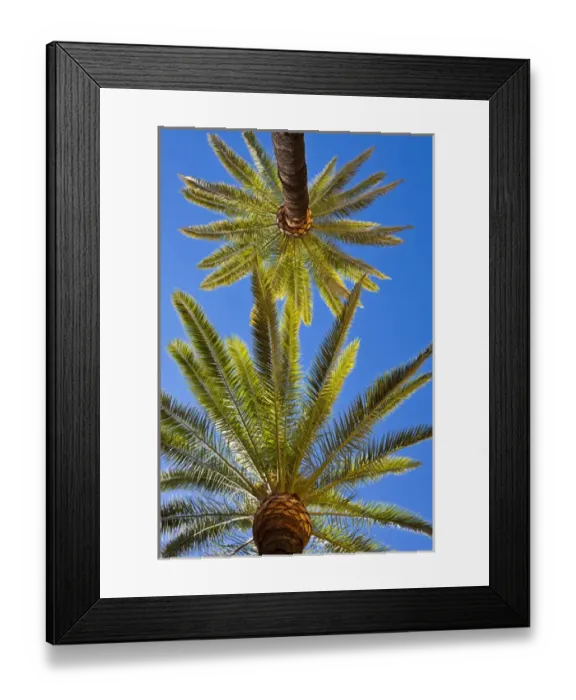 Framed Print : Spain, Andalucia Region, Seville Province, Seville, Palacio de la Condesa de Lebrija
