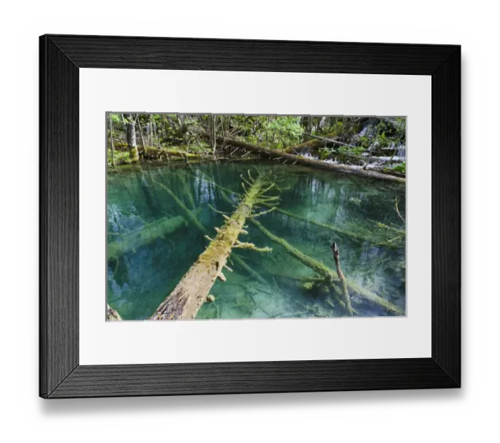 Framed Print : The Plitvice Lakes in the National Park Plitvicka Jezera in Croatia. The upper lakes, small ponds Framed Print : The Plitvice Lakes in the National Park Plitvicka Jezera in Croatia. The upper lakes, small ponds