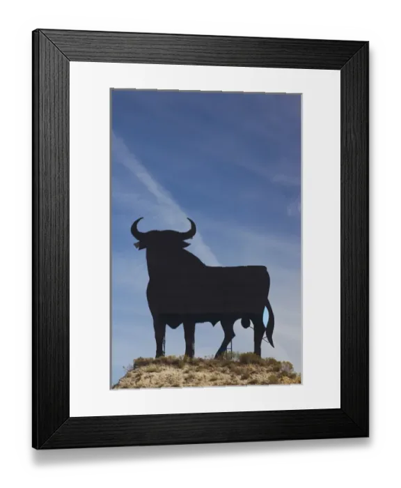 Framed Print : Spain, Andalucia Region, Cadiz Province, Sherry Triangle Area, Puerto de Santa Maria