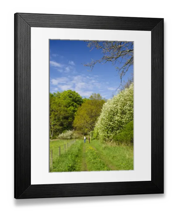 Framed Print : Sweden, Skane, Drakamollan Nature Preserve