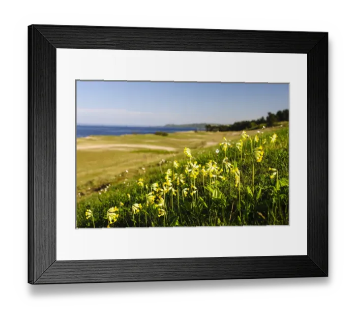 Framed Print : Sweden, Skane, Simrishamn, Verkeans Nature Preserve Framed Print : Sweden, Skane, Simrishamn, Verkeans Nature Preserve