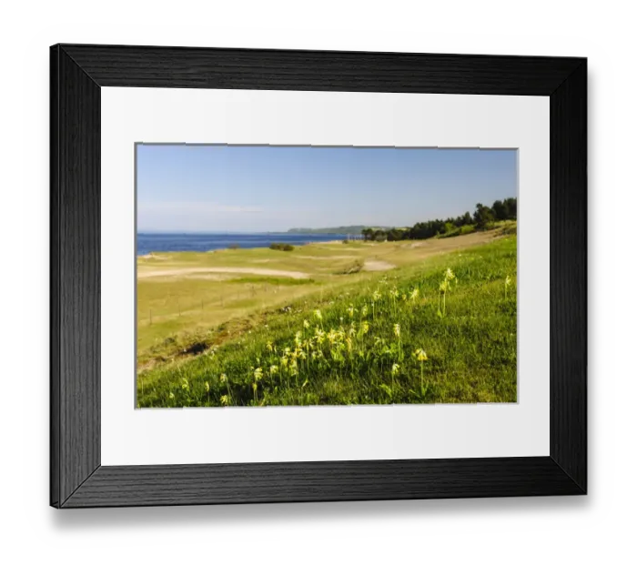 Framed Print : Sweden, Skane, Simrishamn, Verkeans Nature Preserve Framed Print : Sweden, Skane, Simrishamn, Verkeans Nature Preserve