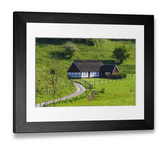 Framed Print : Sweden, Skane, Simrishamn, Verkeans Nature Preserve. Traditional Farm house Framed Print : Sweden, Skane, Simrishamn, Verkeans Nature Preserve. Traditional Farm house
