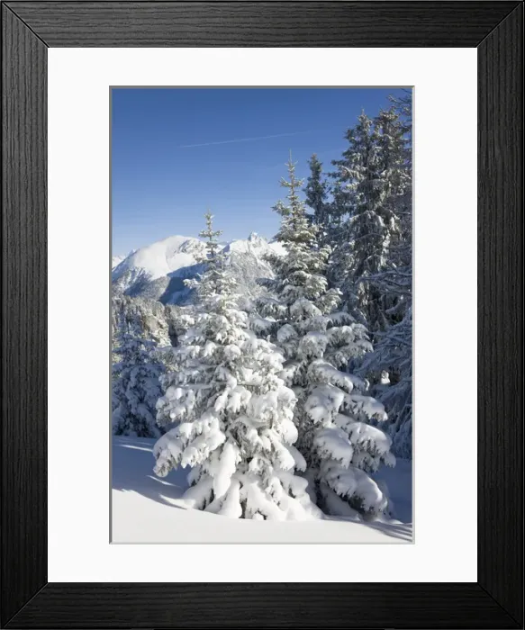 Framed Print : Snow Landscape in the Bernese Alps... Diemtigtal, Bern, Switzerland Framed Print : Snow Landscape in the Bernese Alps... Diemtigtal, Bern, Switzerland