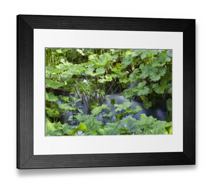 Framed Print : The Plitvice Lakes in the National Park Plitvicka Jezera in Croatia. The upper lakes, small ponds Framed Print : The Plitvice Lakes in the National Park Plitvicka Jezera in Croatia. The upper lakes, small ponds