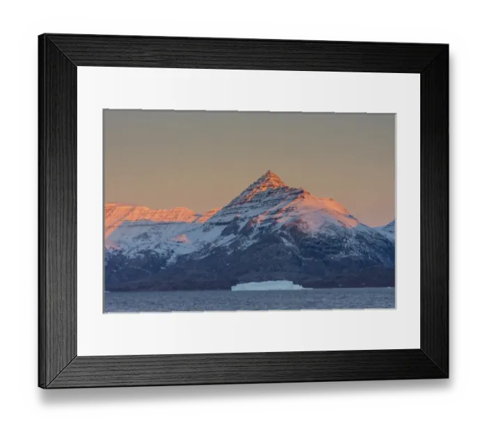 Framed Print : Greenland. Scoresby Sund. Gasefjord (Gooseford) Alpenglow on the mountain with iceberg
