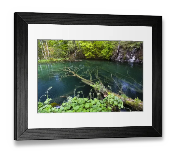 Framed Print : The Plitvice Lakes in the National Park Plitvicka Jezera in Croatia. The upper lakes, small ponds Framed Print : The Plitvice Lakes in the National Park Plitvicka Jezera in Croatia. The upper lakes, small ponds