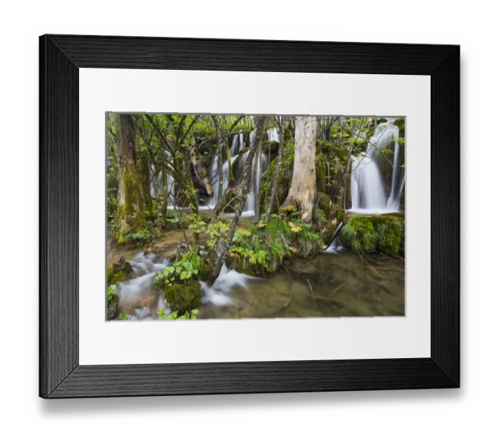 Framed Print : The Plitvice Lakes in the National Park Plitvicka Jezera in Croatia. The upper lakes Framed Print : The Plitvice Lakes in the National Park Plitvicka Jezera in Croatia. The upper lakes