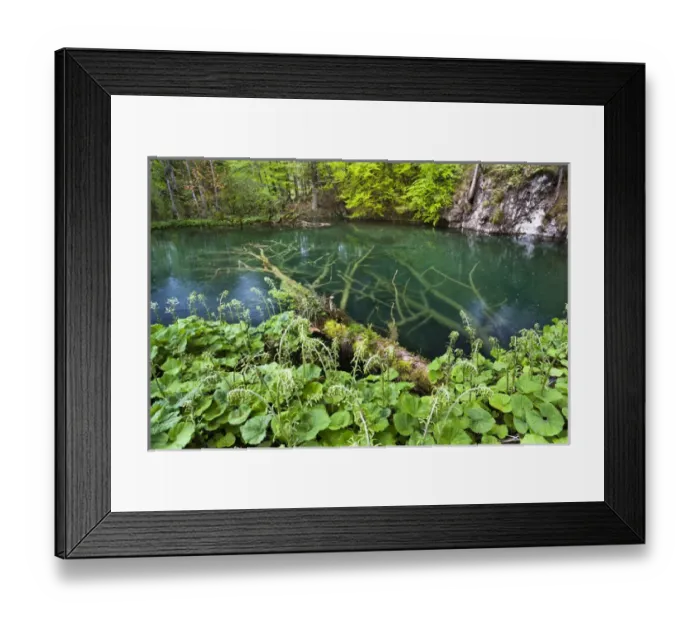 Framed Print : The Plitvice Lakes in the National Park Plitvicka Jezera in Croatia. The upper lakes, small ponds