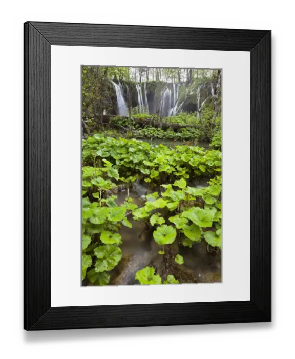 Framed Print : The Plitvice Lakes in the National Park Plitvicka Jezera in Croatia. The upper lakes