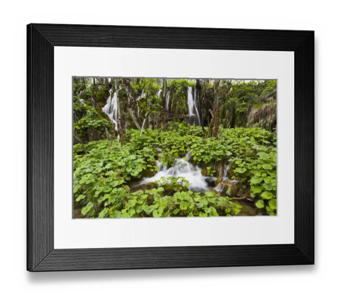 Framed Print : The Plitvice Lakes in the National Park Plitvicka Jezera in Croatia. The upper lakes Framed Print : The Plitvice Lakes in the National Park Plitvicka Jezera in Croatia. The upper lakes