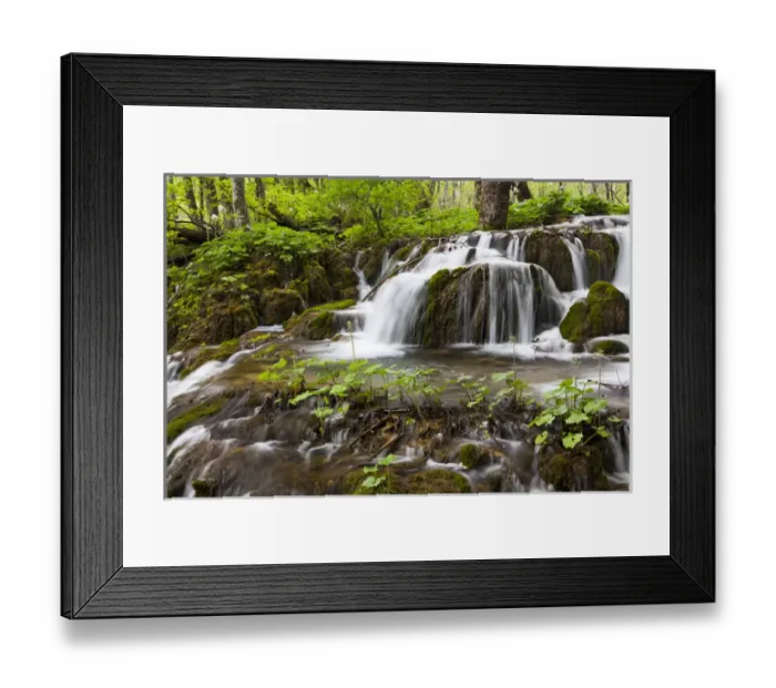 Framed Print : The Plitvice Lakes in the National Park Plitvicka Jezera in Croatia. The upper lakes Framed Print : The Plitvice Lakes in the National Park Plitvicka Jezera in Croatia. The upper lakes