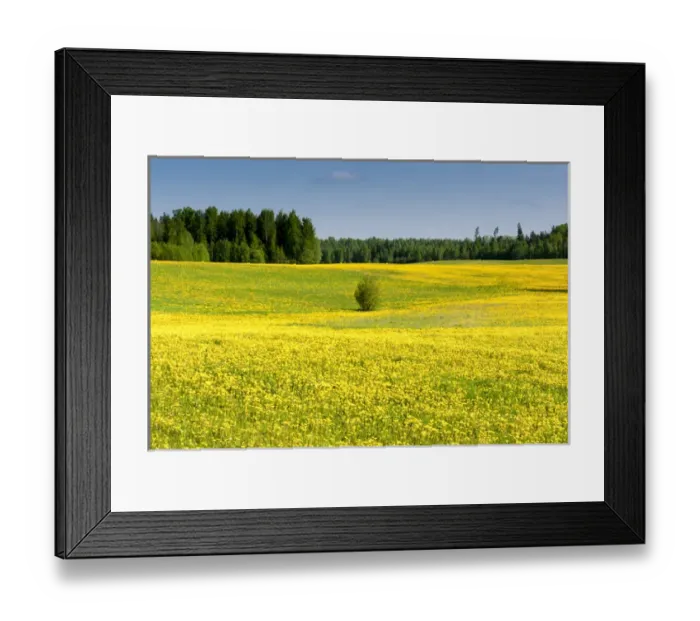 Framed Print : Fields at Varska, Estonia, Baltic States, Europe