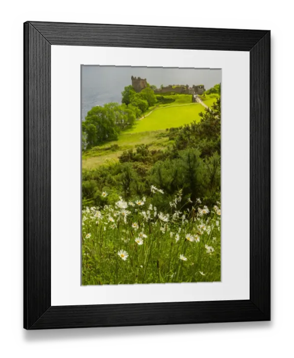 Framed Print : Europe, Scotland, Loch Ness. Landscape of Castle Urquart ruins