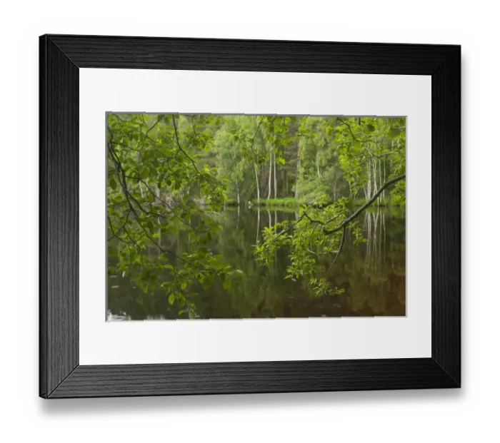 Framed Print : Europe, Scotland, Cairngorm National Park
