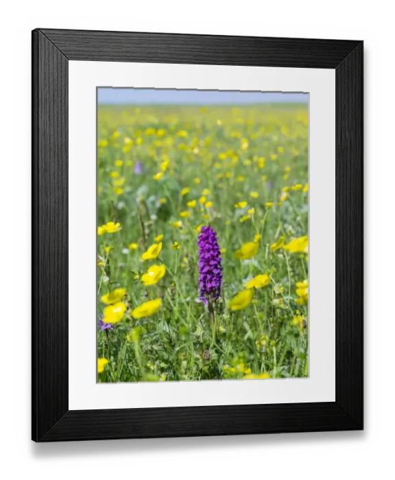 Framed Print : Landscape on the island of South Uist (Uibhist a Deas) in the Outer Hebrides Framed Print : Landscape on the island of South Uist (Uibhist a Deas) in the Outer Hebrides