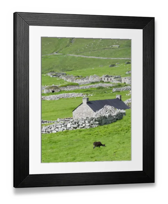 Framed Print : The islands of St Kilda archipelago in Scotland. Island of Hirta with village bay Framed Print : The islands of St Kilda archipelago in Scotland. Island of Hirta with village bay