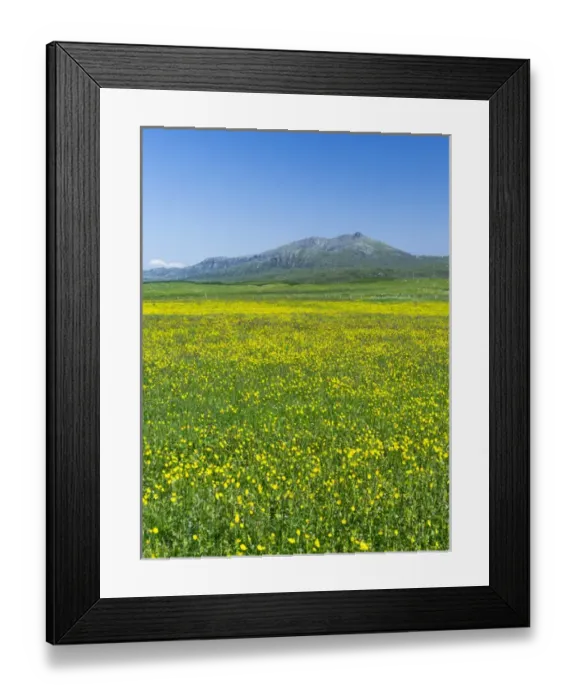 Framed Print : Landscape on the island of South Uist (Uibhist a Deas) in the Outer Hebrides. Machair Framed Print : Landscape on the island of South Uist (Uibhist a Deas) in the Outer Hebrides. Machair
