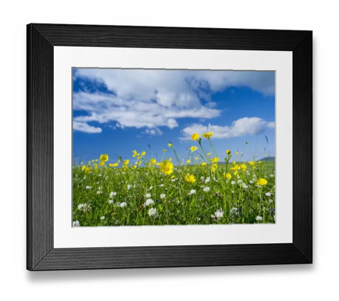 Framed Print : Landscape on the island of South Uist (Uibhist a Deas) in the Outer Hebrides. Machair Framed Print : Landscape on the island of South Uist (Uibhist a Deas) in the Outer Hebrides. Machair