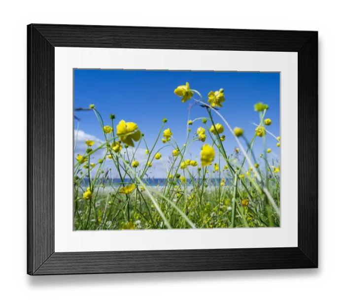 Framed Print : Landscape on the island of South Uist (Uibhist a Deas) in the Outer Hebrides. Machair