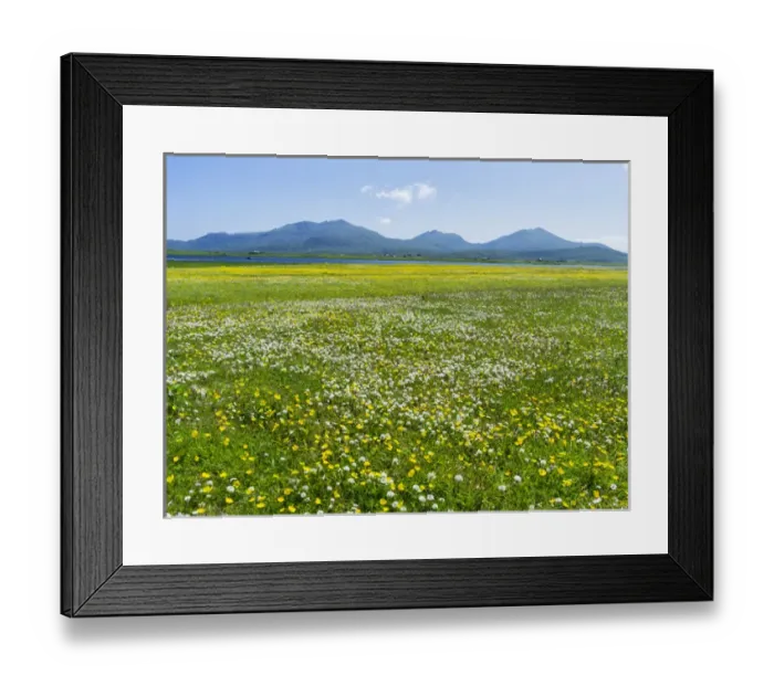 Framed Print : Landscape on the island of South Uist (Uibhist a Deas) in the Outer Hebrides. Machair Framed Print : Landscape on the island of South Uist (Uibhist a Deas) in the Outer Hebrides. Machair
