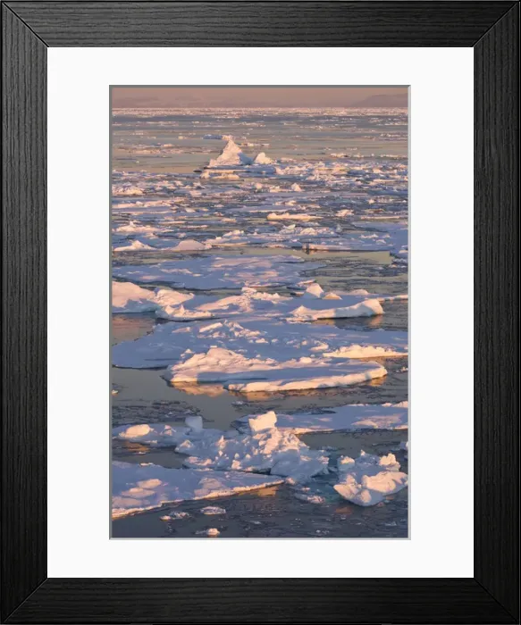 Framed Print : Broken pack ice at sunrise Godthab Golf Greenland Framed Print : Broken pack ice at sunrise Godthab Golf Greenland