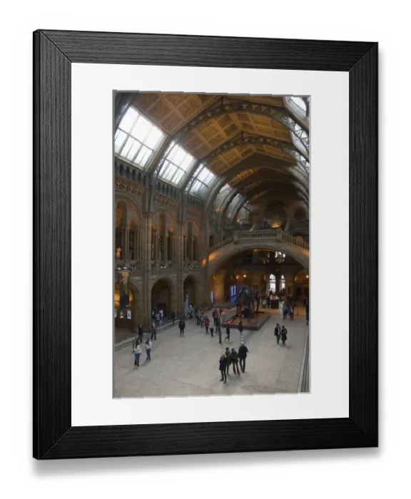 Framed Print : UK. London. Kensington. Natural History Museum. Visitors in the great hall Framed Print : UK. London. Kensington. Natural History Museum. Visitors in the great hall