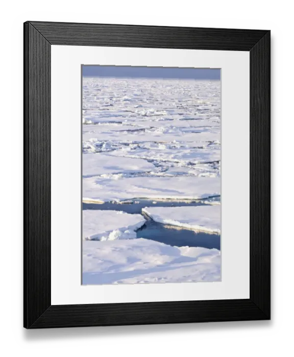 Framed Print : Pancake ice Greenland Sea East Coast of Greenland
