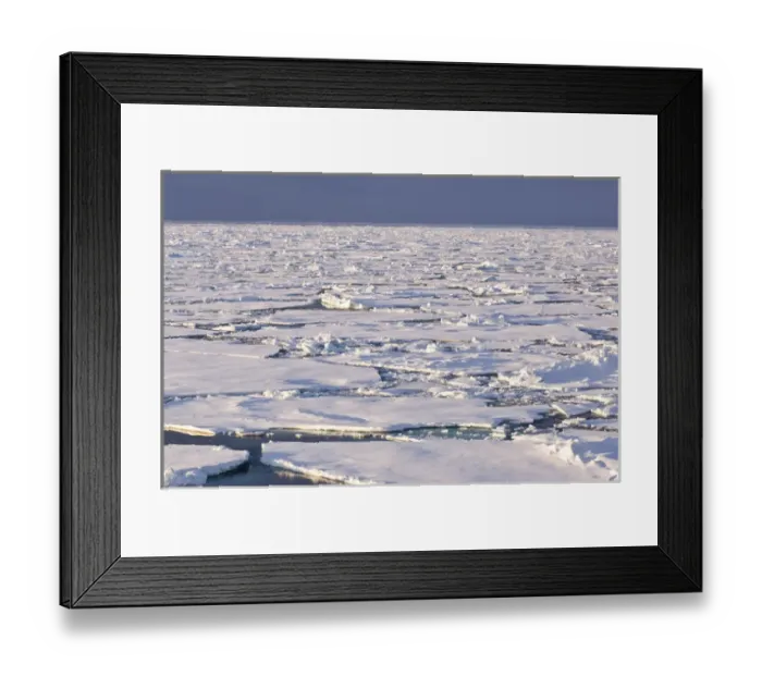 Framed Print : Pancake ice Greenland Sea East Coast of Greenland