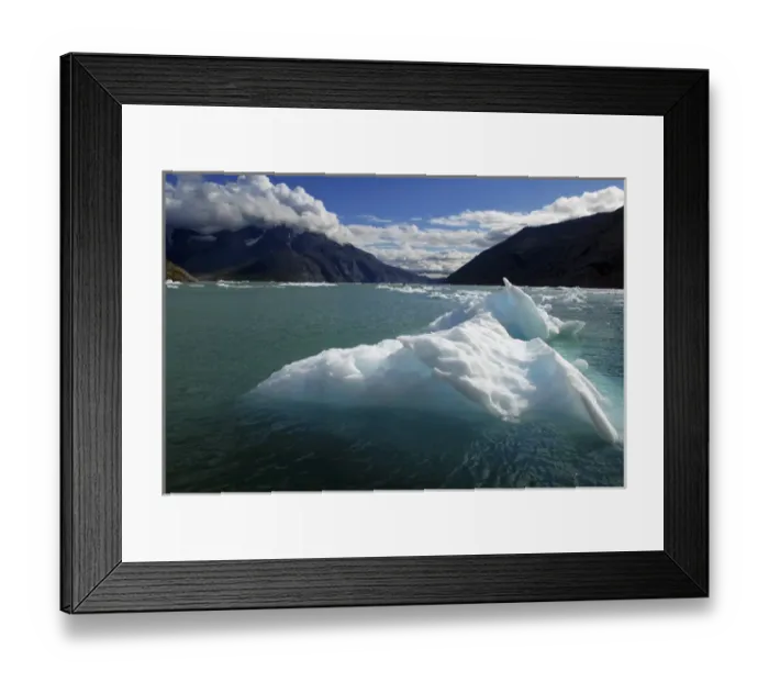 Framed Print : Greenland, Qooroq Fjord. A sea of icebergs on Qooroq Fjord in southern Greenland