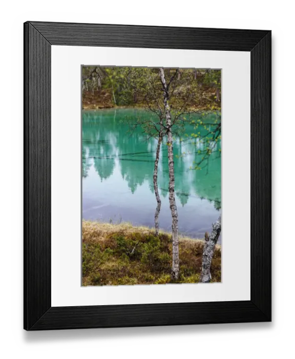 Framed Print : Sweden, Jamtland, Valadalen Nature Preserve. The emerald green water of Blanktjarnarna