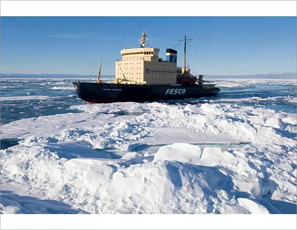 The icebreabker Kapitan Khlebnikov cruising through broken pack ice Greenland Sea