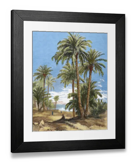 Framed Print : Egypt. Oasis. Engraving by Brend Amour in 1882 Framed Print : Egypt. Oasis. Engraving by Brend Amour in 1882