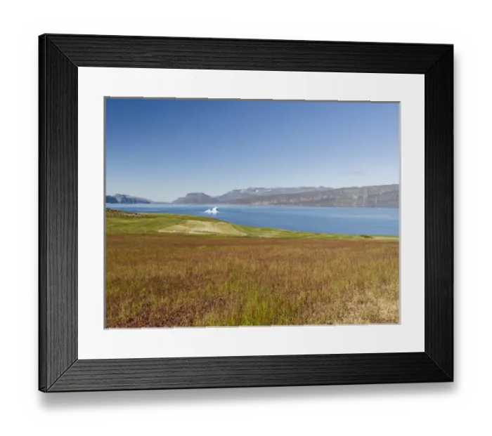 Framed Print : Agriculture and sheep farming near Itilleq in South Greenland at the shore of Eriksfjord Framed Print : Agriculture and sheep farming near Itilleq in South Greenland at the shore of Eriksfjord