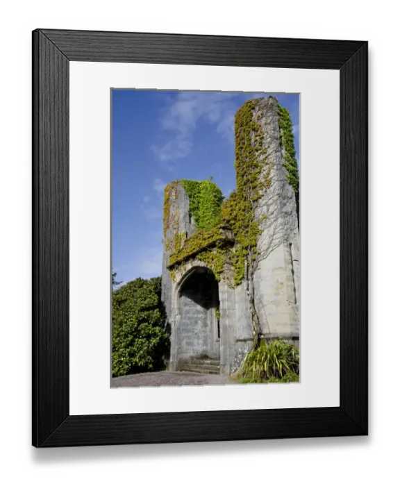 Framed Print : Scotland, Inner Hebrides, Isle of Skye, Armadale Castle & Gardens, ivy covered ruins Framed Print : Scotland, Inner Hebrides, Isle of Skye, Armadale Castle & Gardens, ivy covered ruins