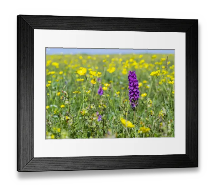 Framed Print : Landscape on the island of South Uist (Uibhist a Deas) in the Outer Hebrides Framed Print : Landscape on the island of South Uist (Uibhist a Deas) in the Outer Hebrides