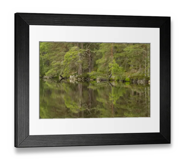 Framed Print : Europe, Scotland, Cairngorm National Park