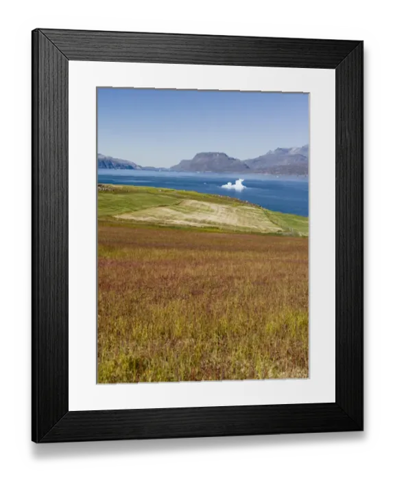 Framed Print : Agriculture and sheep farming near Itilleq in South Greenland at the shore of Eriksfjord Framed Print : Agriculture and sheep farming near Itilleq in South Greenland at the shore of Eriksfjord