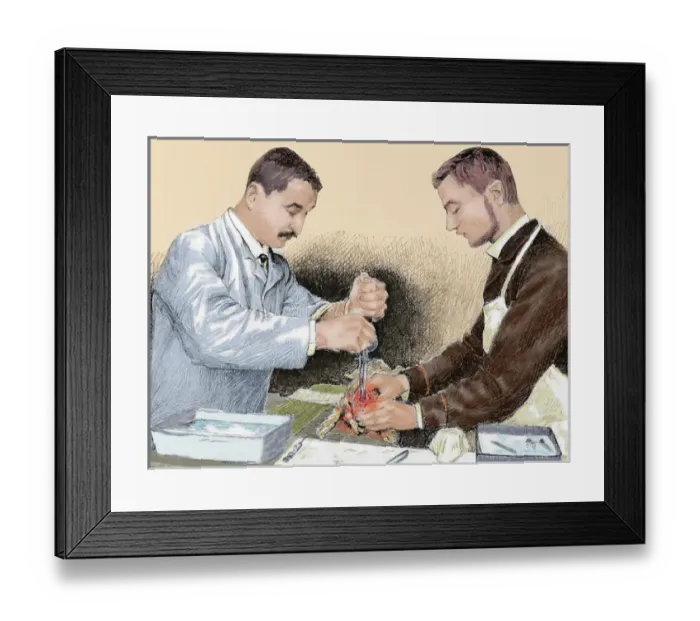 Framed Print : Trephination of a rabbit injected with rabies virus to achieve the rabies vaccine Framed Print : Trephination of a rabbit injected with rabies virus to achieve the rabies vaccine