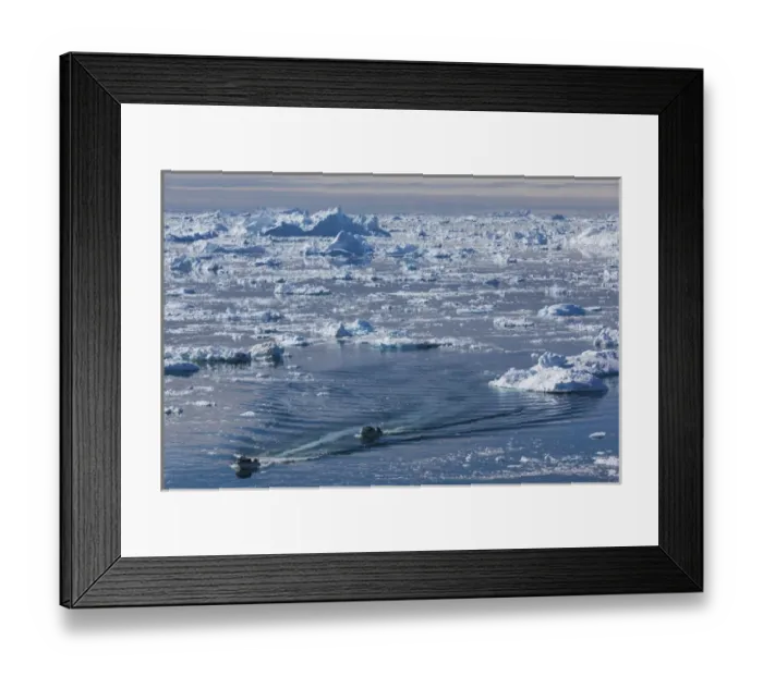 Framed Print : Greenland, Disko Bay, Ilulissat, elevated view of floating ice and fishing boat Framed Print : Greenland, Disko Bay, Ilulissat, elevated view of floating ice and fishing boat