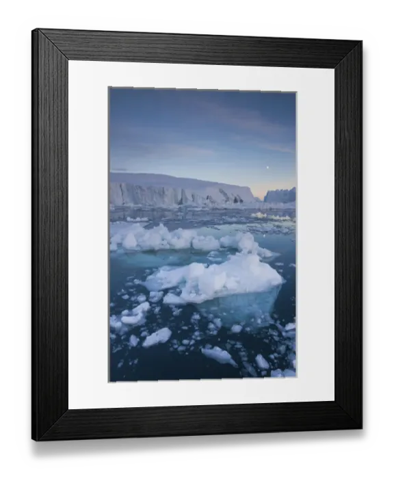 Framed Print : Greenland, Disko Bay, Ilulissat, floating ice at sunset with moonrise Framed Print : Greenland, Disko Bay, Ilulissat, floating ice at sunset with moonrise