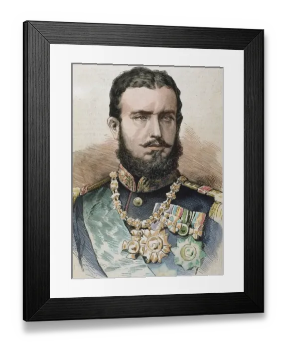 Framed Print : Carol I (Sigmaringen, 1839-Castle Pelesch, 1914). Prince (1866-81) and king of Romania (1881-1914)