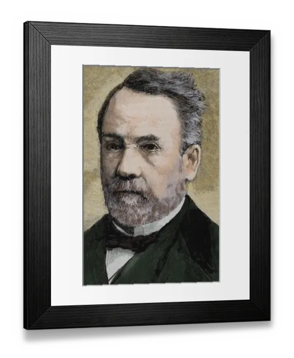 Framed Print : PASTEUR, Louis (1822-1895) French chemist and bacteriologist Framed Print : PASTEUR, Louis (1822-1895) French chemist and bacteriologist