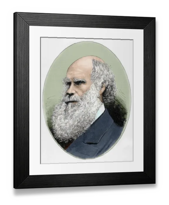 Framed Print : DARWIN, Charles Robert (1809-1882) British naturalist. Colored engraving Framed Print : DARWIN, Charles Robert (1809-1882) British naturalist. Colored engraving