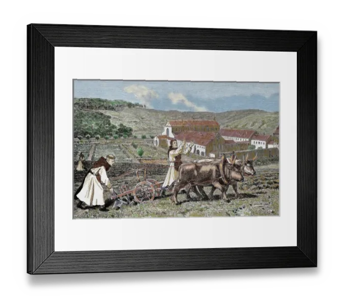 Framed Print : Monks ploughing the land with oxen. Germany. 1872. Colored engraving