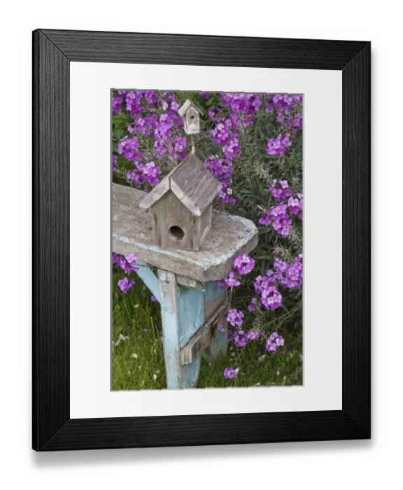 Framed Print : Bird houses on bench next to garden flowers Framed Print : Bird houses on bench next to garden flowers