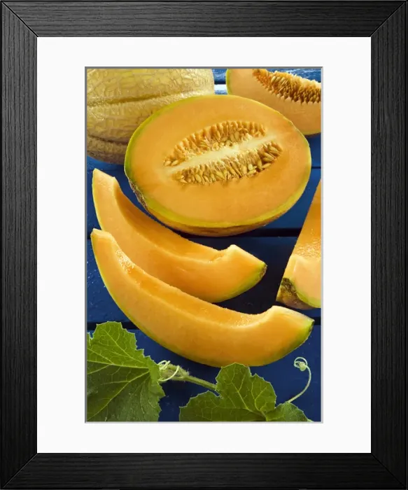 Framed Print : Whole melon and one cut into pieces (Cucumis melo) Framed Print : Whole melon and one cut into pieces (Cucumis melo)