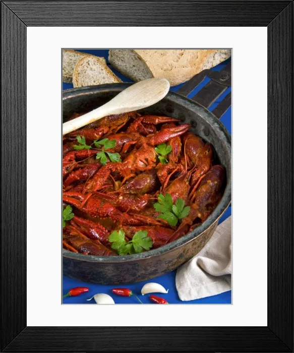 Framed Print : European freshwater crayfish in tomato sauce (Austropotamobius pallipes) Framed Print : European freshwater crayfish in tomato sauce (Austropotamobius pallipes)
