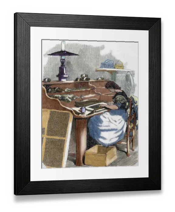 Framed Print : The snuff industry. Woman rolling cigars. France. Engraving, 1885. Colored Framed Print : The snuff industry. Woman rolling cigars. France. Engraving, 1885. Colored