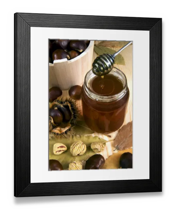 Framed Print : Chestnut (Castanea sativa) honey in jar Framed Print : Chestnut (Castanea sativa) honey in jar